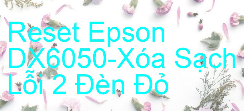 Reset Epson DX6050-Xóa Sạch Lỗi 2 Đèn Đỏ