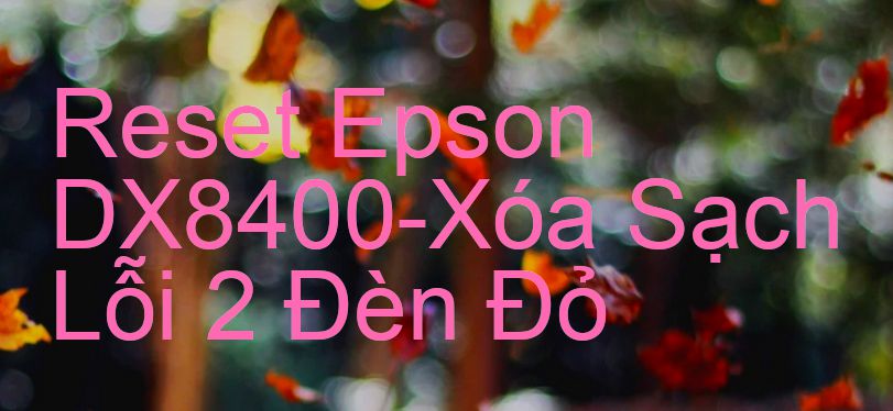 Reset Epson DX8400-Xóa Sạch Lỗi 2 Đèn Đỏ