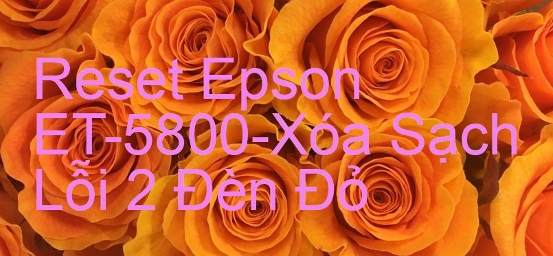 Reset Epson ET-5800-Xóa Sạch Lỗi 2 Đèn Đỏ