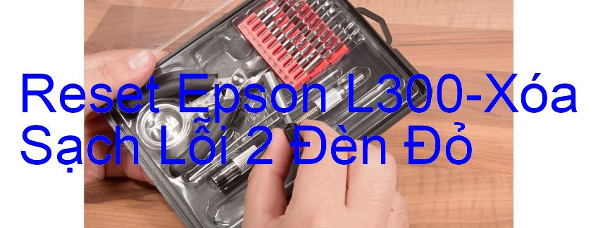 Reset Epson L300-Xóa Sạch Lỗi 2 Đèn Đỏ