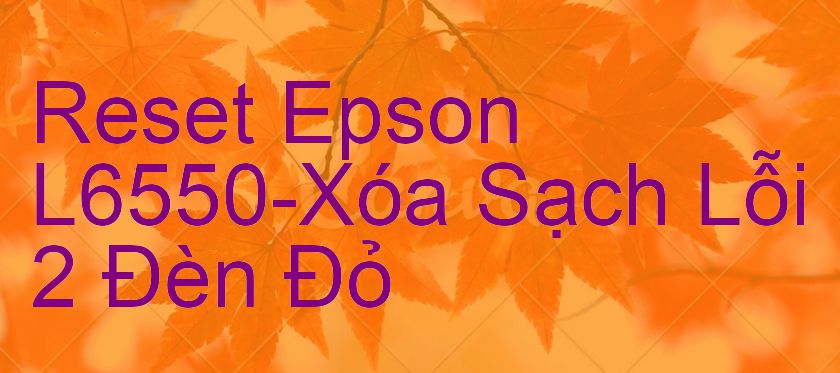 Reset Epson L6550-Xóa Sạch Lỗi 2 Đèn Đỏ