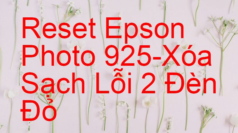 Reset Epson Photo 925-Xóa Sạch Lỗi 2 Đèn Đỏ