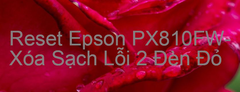 Reset Epson PX810FW-Xóa Sạch Lỗi 2 Đèn Đỏ