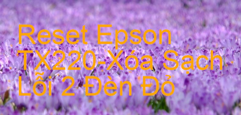 Reset Epson TX220-Xóa Sạch Lỗi 2 Đèn Đỏ