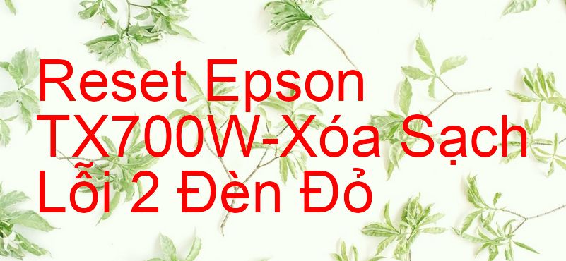 Reset Epson TX700W-Xóa Sạch Lỗi 2 Đèn Đỏ