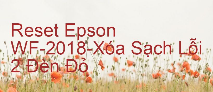 Reset Epson WF-2018-Xóa Sạch Lỗi 2 Đèn Đỏ