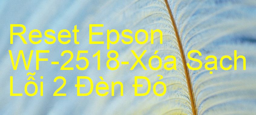 Reset Epson WF-2518-Xóa Sạch Lỗi 2 Đèn Đỏ