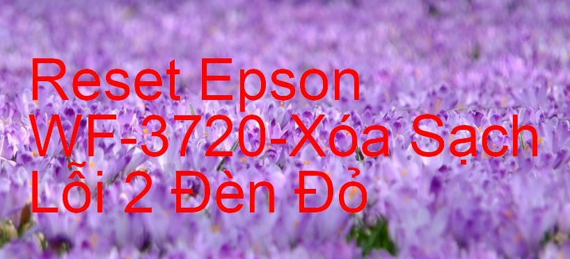 Reset Epson WF-3720-Xóa Sạch Lỗi 2 Đèn Đỏ