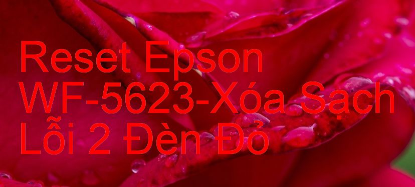 Reset Epson WF-5623-Xóa Sạch Lỗi 2 Đèn Đỏ