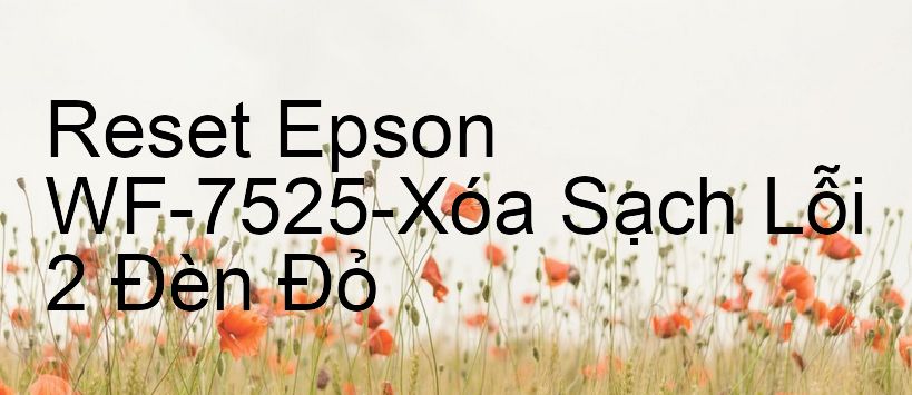 Reset Epson WF-7525-Xóa Sạch Lỗi 2 Đèn Đỏ