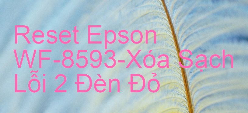 Reset Epson WF-8593-Xóa Sạch Lỗi 2 Đèn Đỏ
