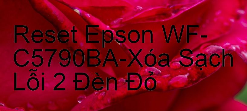 Reset Epson WF-C5790BA-Xóa Sạch Lỗi 2 Đèn Đỏ