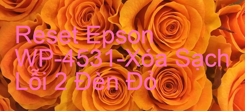 Reset Epson WP-4531-Xóa Sạch Lỗi 2 Đèn Đỏ