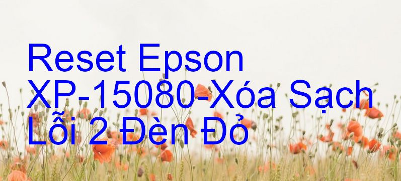 Reset Epson XP-15080-Xóa Sạch Lỗi 2 Đèn Đỏ