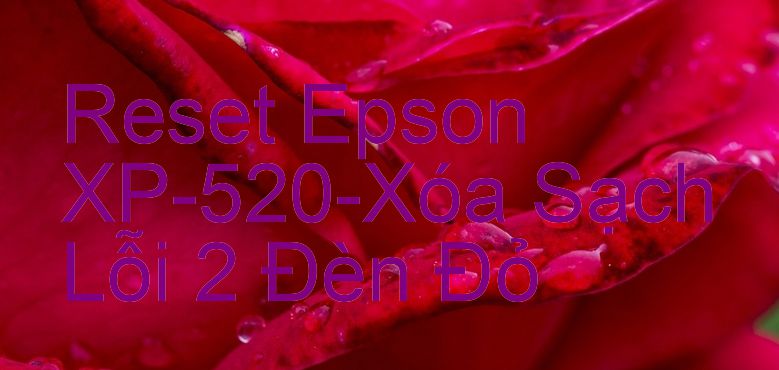 Reset Epson XP-520-Xóa Sạch Lỗi 2 Đèn Đỏ