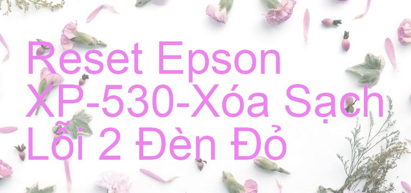 Reset Epson XP-530-Xóa Sạch Lỗi 2 Đèn Đỏ
