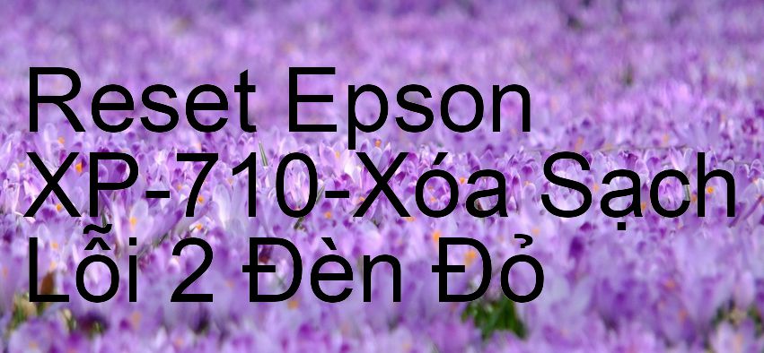 Reset Epson XP-710-Xóa Sạch Lỗi 2 Đèn Đỏ