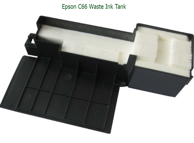 Hộp mực thải máy in Epson C66