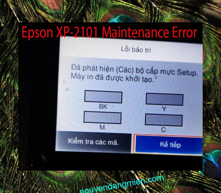 Epson XP-2101 Lỗi Bảo Trì: Đã phát hiện (Các) bộ cấp mực Setup. Máy in đã được khởi tạo.