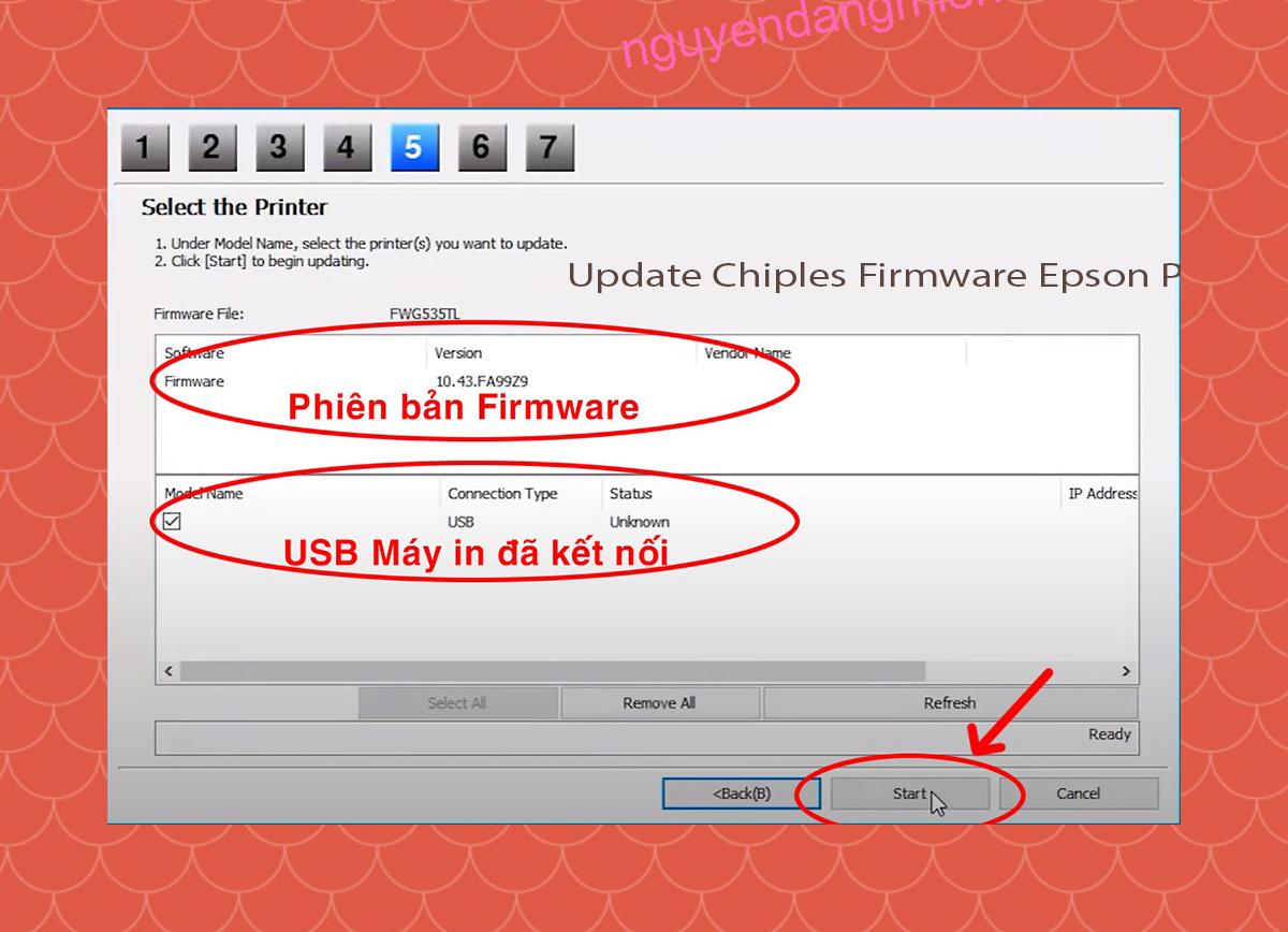 Update Chipless Firmware Epson P608 7